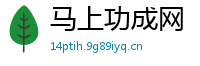 马上功成网